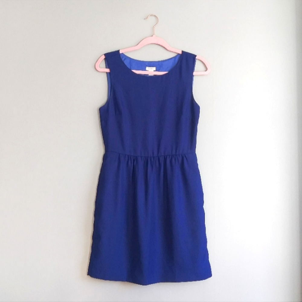 J. Crew Blue Dress
